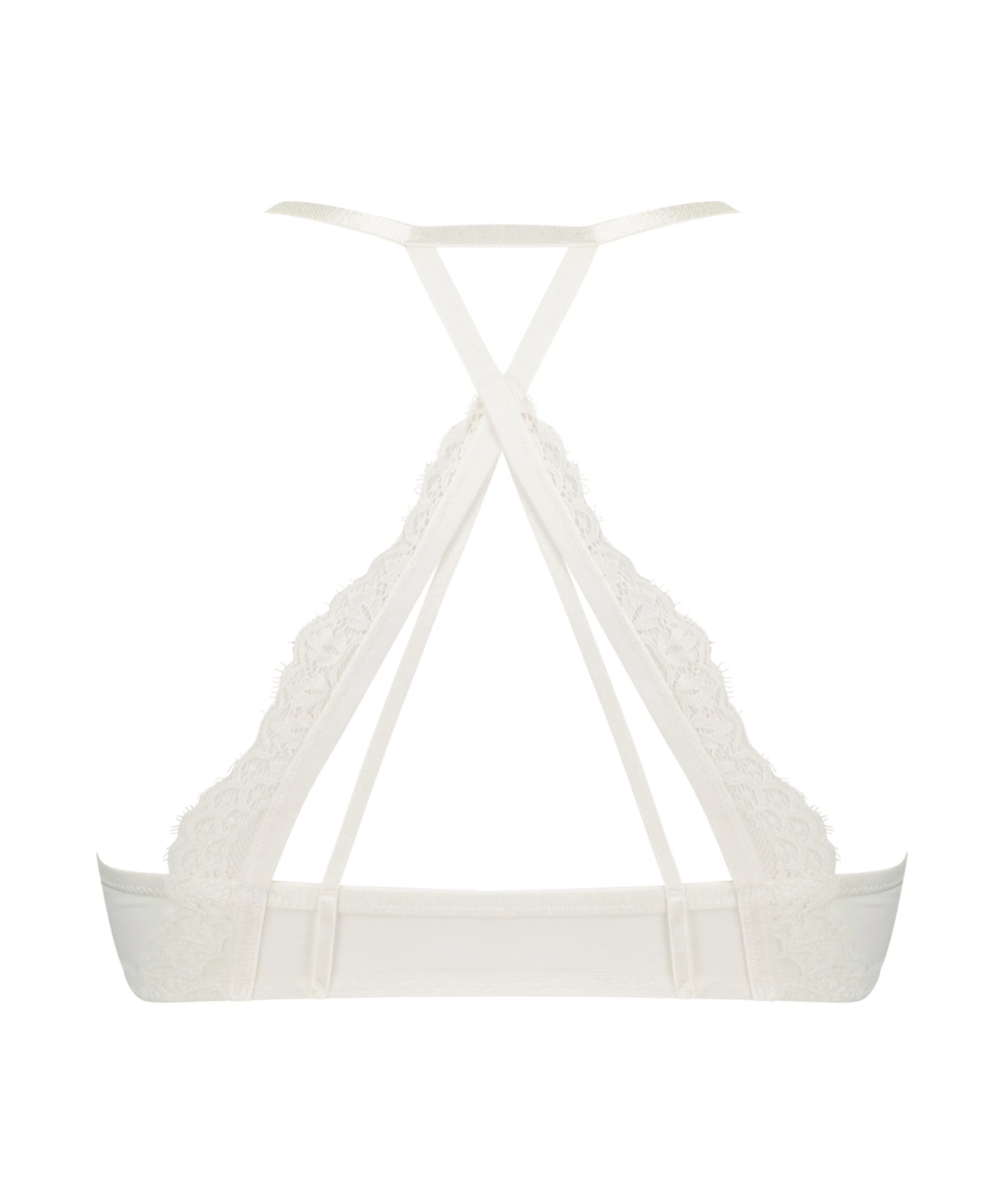 Daisy Padded Underwired Push-Up Bra 8 Daisy Padded Underwired Push-Up Bra - Image 6